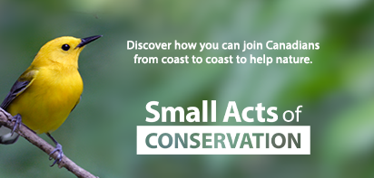 Small Acts of Conservation - Join the challenge today