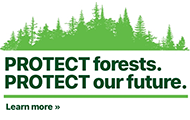 Protect forests